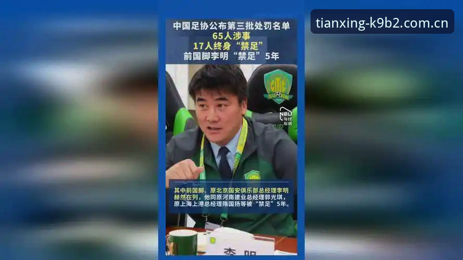 天行体育K9B2下载 中国足协第三批禁足名单详解:17人终身禁足,48人禁足5年