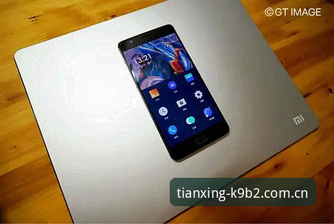 官网直登 vs 手机App：天行体育K9B2登录手机版哪个更适合你？